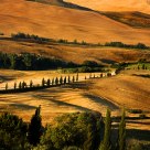 The View From Pienza